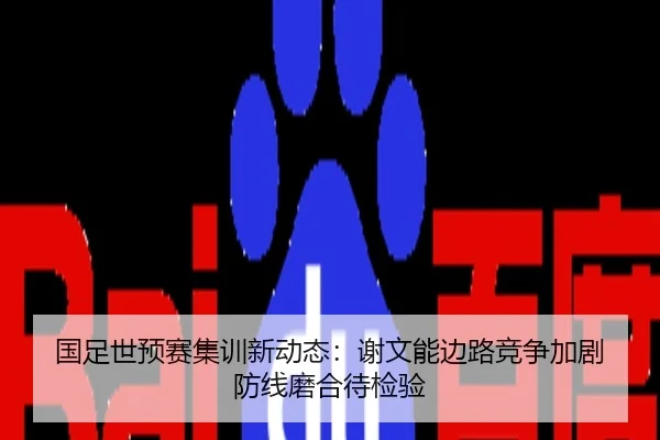 国足世预赛集训新动态：谢文能边路竞争加剧 防线磨合待检验